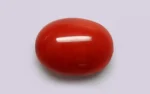 Red Coral - 12.56 Carats