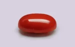 Red Coral - 12.56 Carats - Image 4