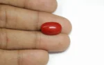 Red Coral - 7.87 Carats - Image 2