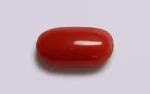 Red Coral - 6.84 Carats