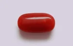 Red Coral - 6.84 Carats - Image 3