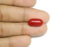 Red Coral - 6.84 Carats - Image 2