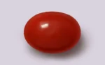 Red Coral - 7.47 Carats