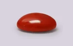 Red Coral - 7.47 Carats - Image 4
