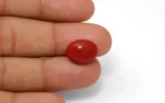 Red Coral - 7.47 Carats - Image 2