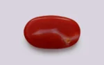 Red Coral - 8.49 Carats - Image 3
