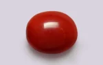 Red Coral - 9.96 Carats