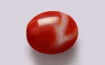 Red Coral - 9.96 Carats - Image 3