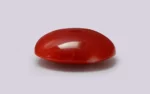 Red Coral - 9.96 Carats - Image 4