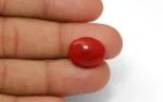 Red Coral - 9.96 Carats - Image 2