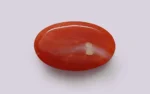 Red Coral - 9.07 Carats - Image 3