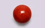 Red Coral 10.5 MM - 5.87 Carats