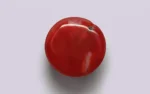 Red Coral 10.5 MM - 4.37 Carats - Image 3