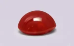 Red Coral 10.5 MM - 4.37 Carats - Image 4
