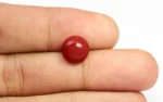 Red Coral 10.5 MM - 4.37 Carats - Image 2