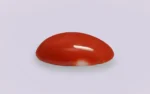 Red Coral - 7.51 Carats - Image 4