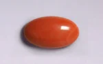 Red Coral - 11.37 Carats