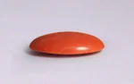 Red Coral - 11.37 Carats - Image 4