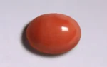 Red Coral - 10.54 Carats