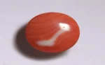 Red Coral - 10.54 Carats - Image 3