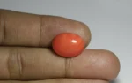 Red Coral - 10.54 Carats - Image 2