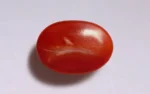 Deep Red Coral - 5.42 Carats - Image 3