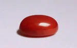 Deep Red Coral - 5.42 Carats - Image 4