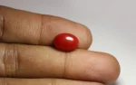 Deep Red Coral - 5.42 Carats - Image 2