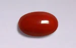 Red Coral - 4.96 Carats