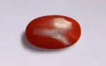 Red Coral - 4.96 Carats - Image 3