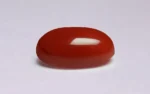 Red Coral - 4.96 Carats - Image 4