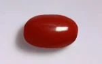 Red Coral - 5.64 Carats