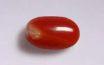 Red Coral - 5.64 Carats - Image 3