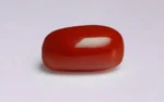 Red Coral - 5.64 Carats - Image 4