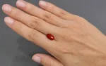 Red Coral - 5.64 Carats - Image 2