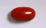 Red Coral - 5.88 Carats