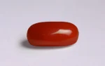 Red Coral - 5.88 Carats - Image 4