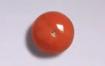 Red Coral - 9.39 Carats - Image 3