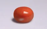 Red Coral - 9.39 Carats - Image 4