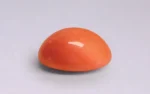 Red Coral - 13.22 Carats - Image 4