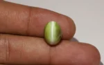 Chrysoberyl Cat's Eye 14x10 MM - 10.86 Carats - Image 2