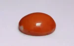 Red Coral - 11.68 Carats - Image 4